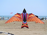 Cervia 2011-272